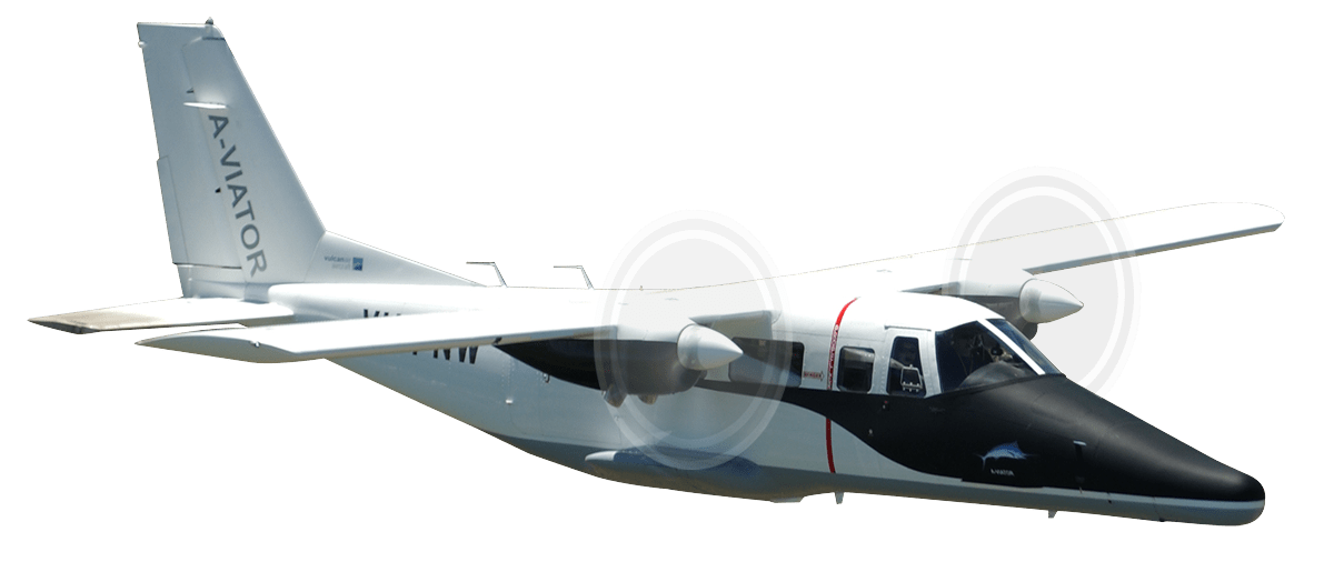 Vulcanair Aviator TP 600